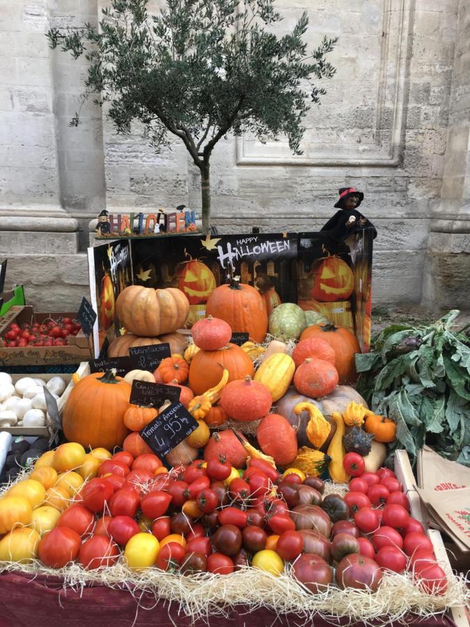 Un Coin De Luberon Daire LʼIsle-sur-la-Sorgue Dış mekan fotoğraf