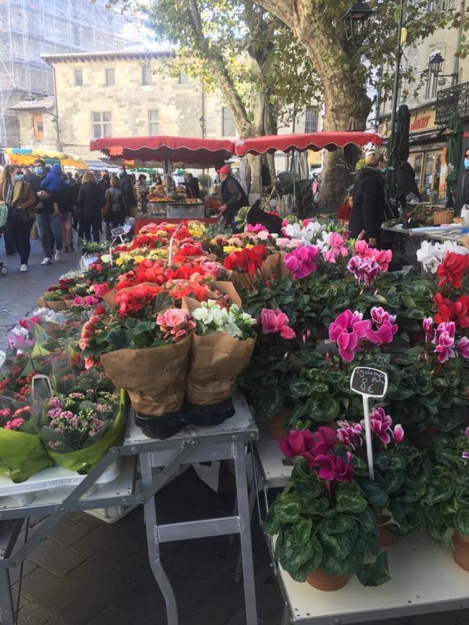 Un Coin De Luberon Daire LʼIsle-sur-la-Sorgue Dış mekan fotoğraf